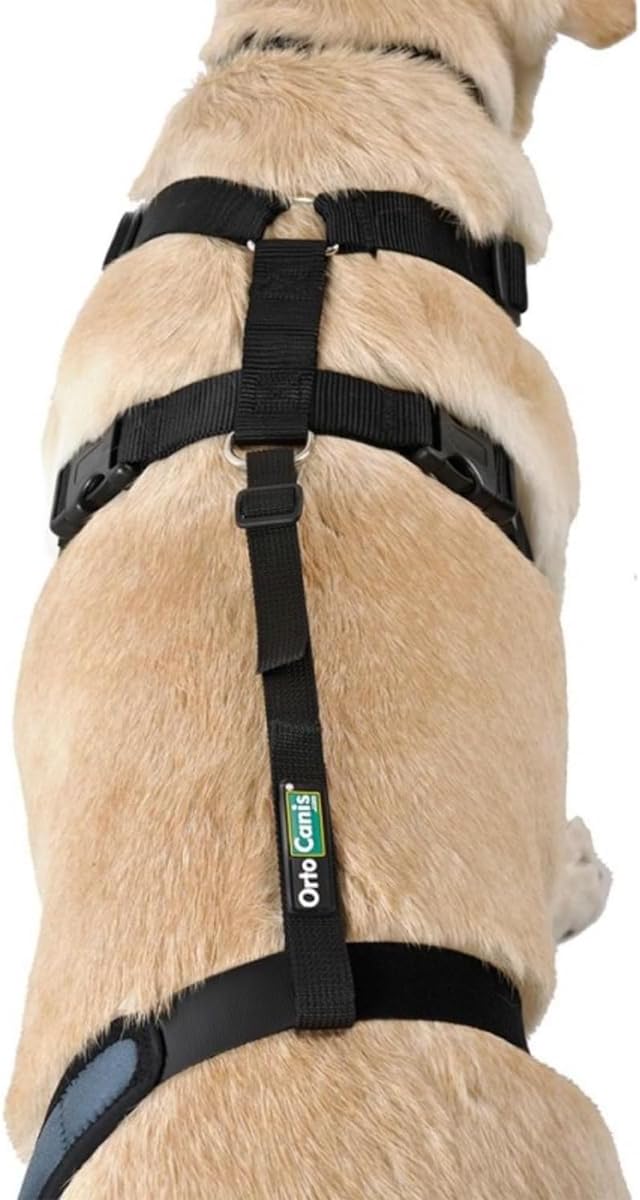 Knee Brace Fastening Belt for Dog - Prevents Slippage - Improves Stability and Recovery - Size Harness + Leash: L 69-96 cm