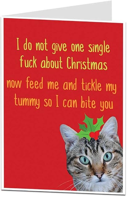 Funny Grumpy Offensive Cat Christmas Card Alternative Xmas Message Pet Theme