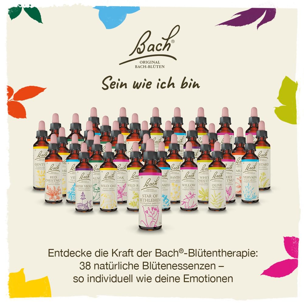 Original Bachblüten Tropfen Box: Alle 38 Bach-Blüten Essenzen + 2x RESCURA Rescue Tropfen, 40x10ml