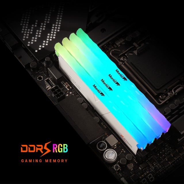 Amazon.co.jp: v-color: XPrism RGB │ DDR5 SCC KIT 2+2