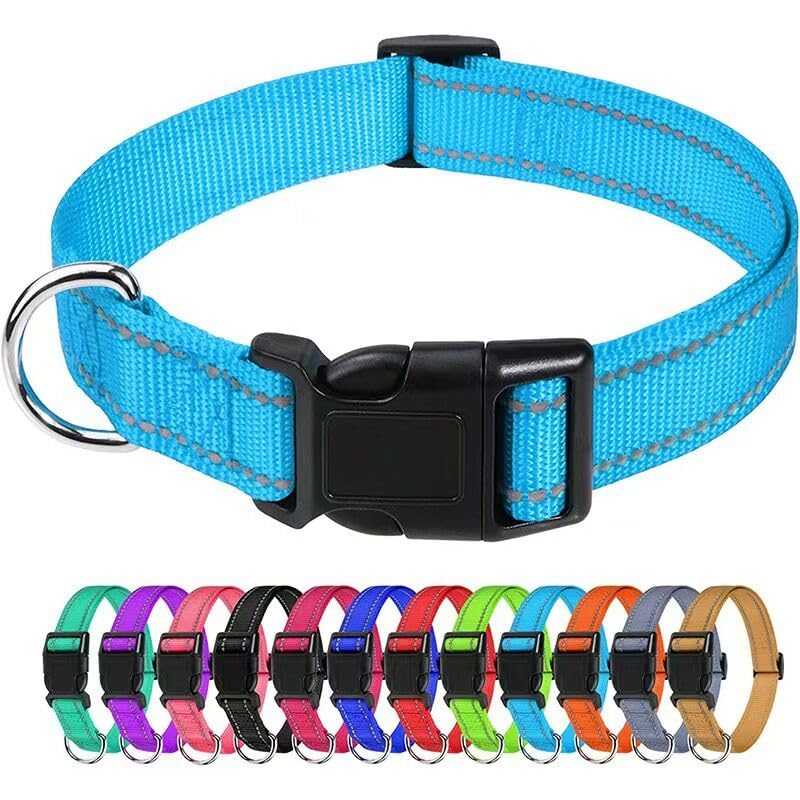 Collar Reflectante para Perros Pequeños Azul Celeste