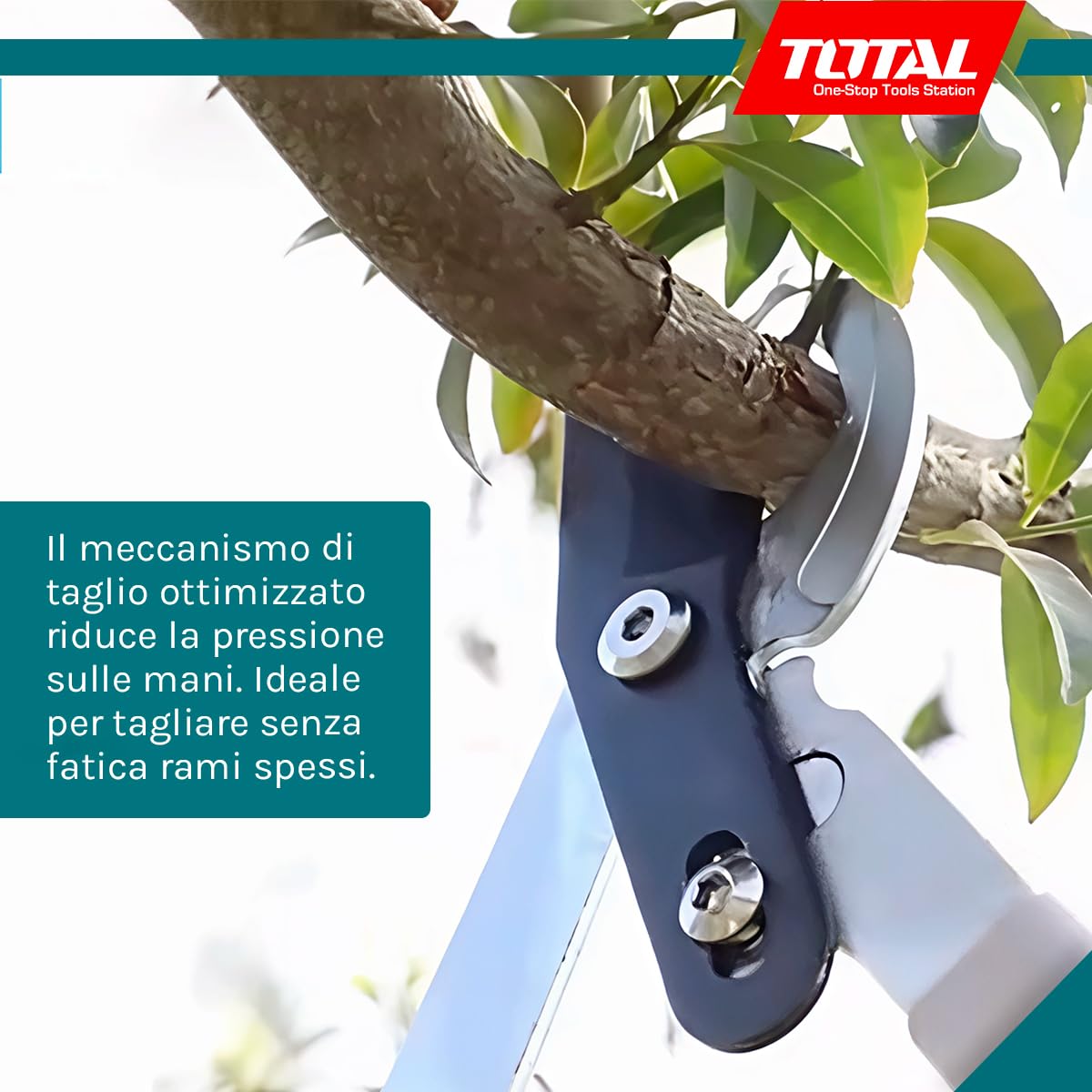 TOTAL - Forbici da potatura telescopiche - 25 x 19,5 x 8,1 cm - Blu - Lunghezza 670-880 mm - Forbici da potatura telescopiche per taglio in giardino