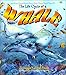 The Life Cycle of a Whale