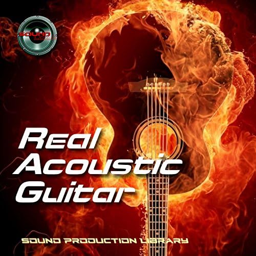ACOUSTIC GUITAR REAL - Large Perfect WAVE/Kontakt Samples/Loops Library on DVD or for download