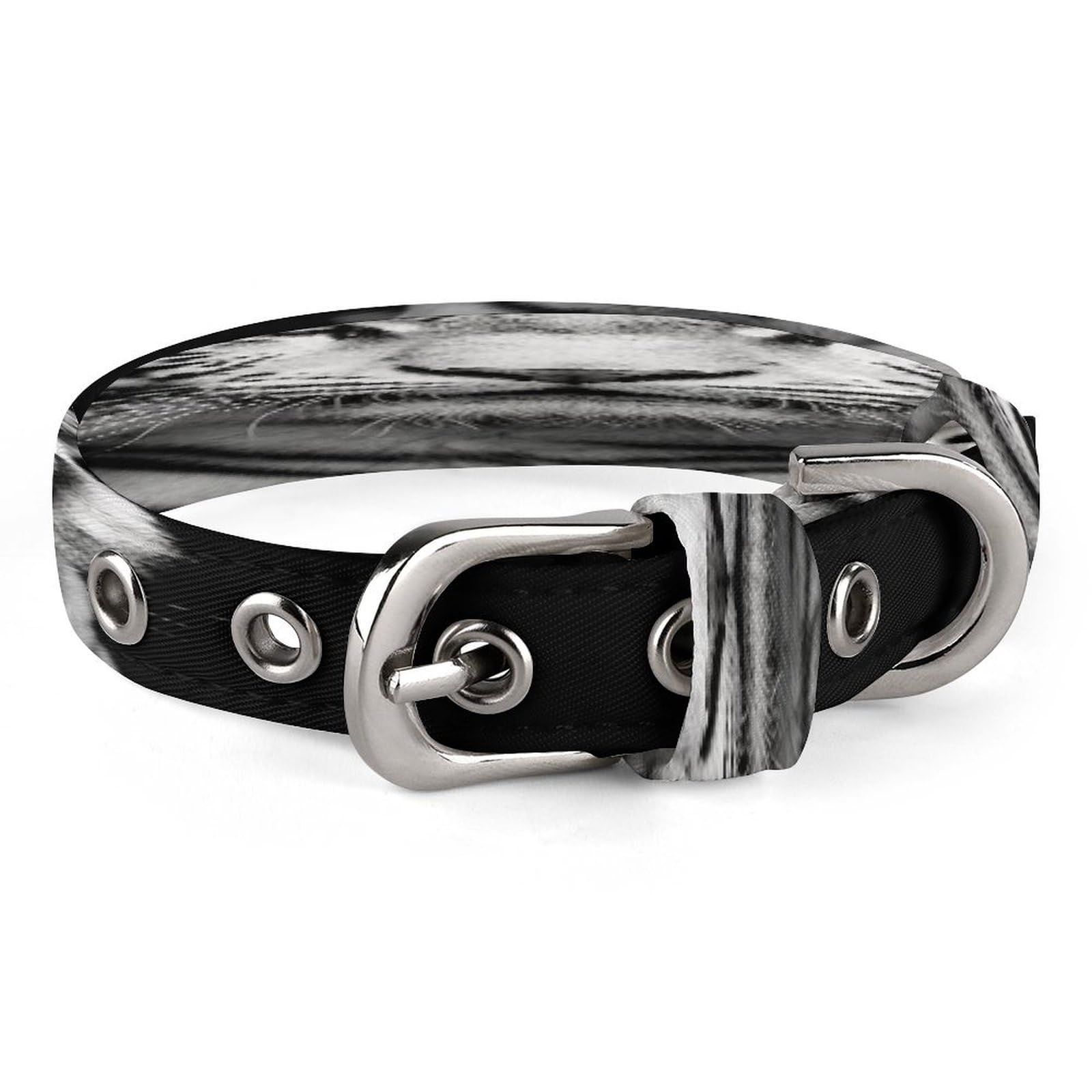 Collier chien réglable en acier inoxydable anti-fugue avec boucle métal tigre