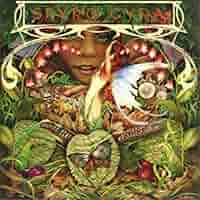 （ＬＰ）ＳＰＹＲＯ　ＧＹＲＡ　スパイロ・ジャイラ／ＭＯＲＮＩＮＧ　ＤＡＮＣＥ SPYRO GYRA / MORNING DANCE - New & Used Online Records Shop