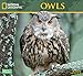National Geographic Owls 2019 Wall Calendar