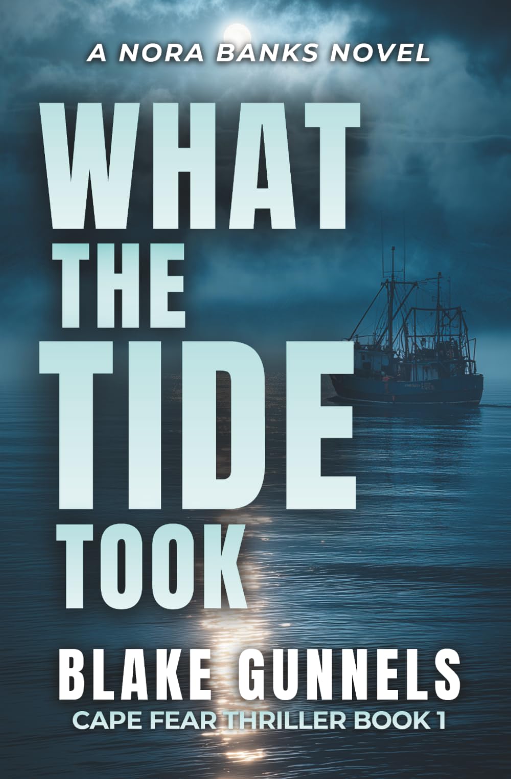 What the Tide Took: A Coastal Thriller (Nora Banks)