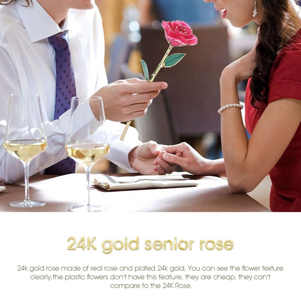 Rosa de oro de 24 quilates, flor única para siempre, tallo largo, rosa con soporte para cumpleaños, día de San Valentín, día de la madre, Navidad, vacaciones, boda