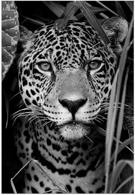 Amazon Co Jp Jxrdg フルドリルダイヤモンド塗装動物黒と白ヒョウダイヤモンド刺繍動物クロスステッチモザイク北欧家の装飾40x50cmフレームなし ホーム キッチン