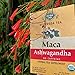 Herbal Cup Ayurveda Maca Tea, Organic Ashwagandha, No Caffeine Herbal Teas (16 Count, Pack of 1)
