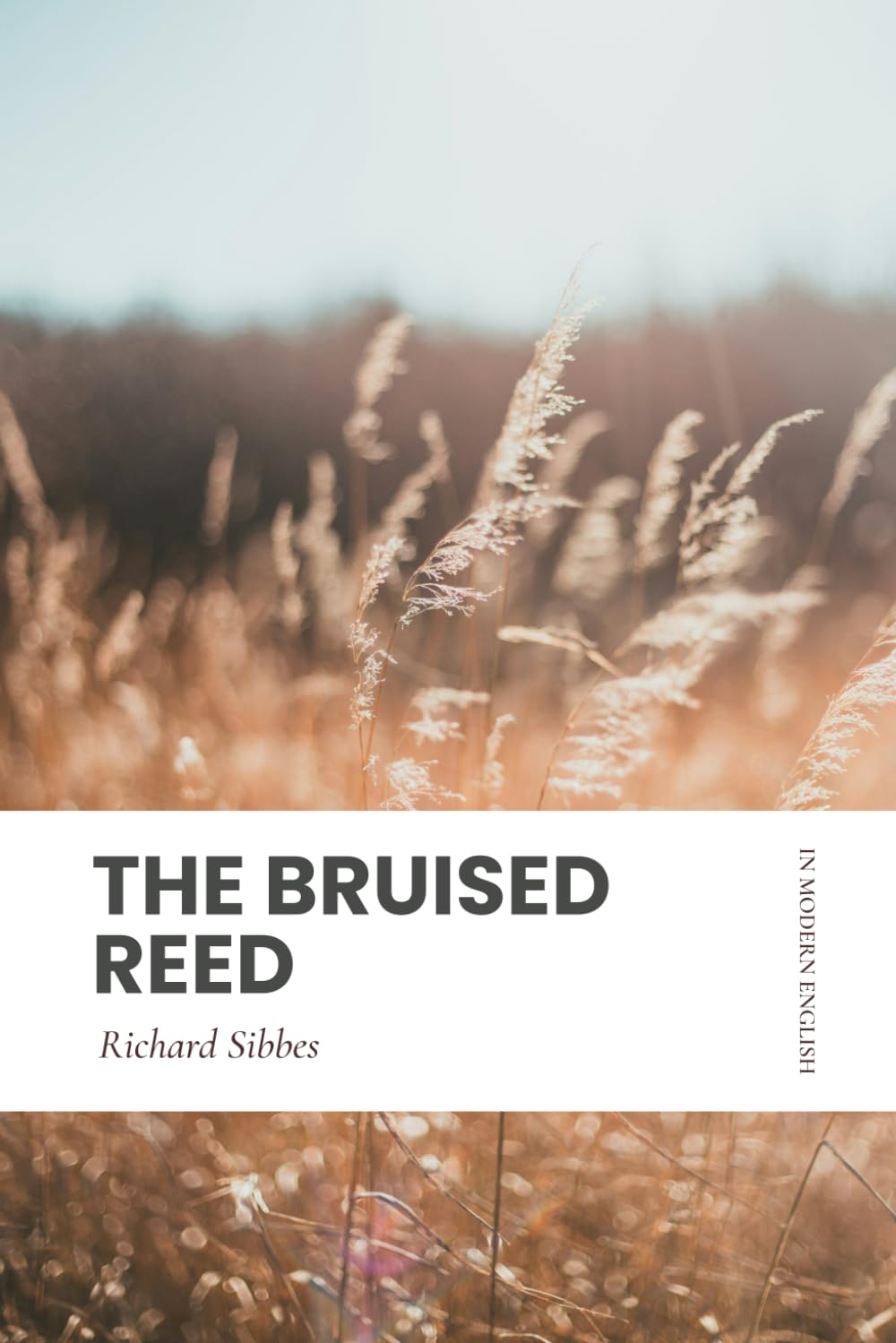 The Bruised Reed: In Modern English