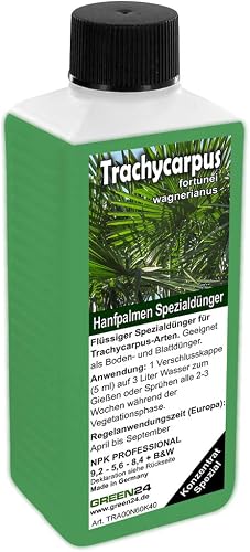 Engrais Trachycarpus pour palmiers de chanvre Palmiers t GREEN24