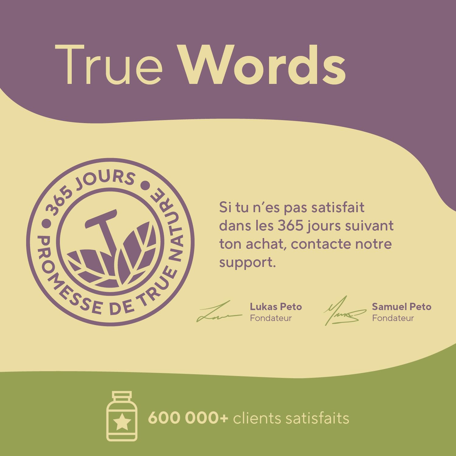 Extrait d'Artichaut Français - 2.400mg avec 2,5% Cynarine - 300 Gélules (2,5 mois) - Confort Digestif, Foie & Détox - Vegan - Sans: Additifs, Lactose & Gluten - TRUE NATURE
