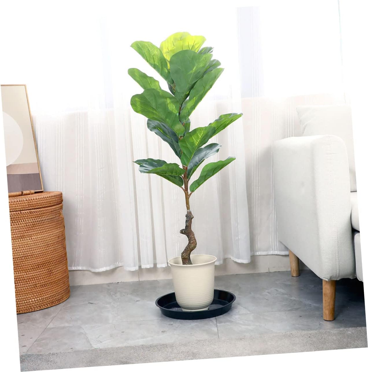 BESPORTBLE 10pcs Flowerpot Base Trays for Indoor and Outdoor Gardening Round Drip Saucers for and Potted Plants Easy to Clean and Reusable