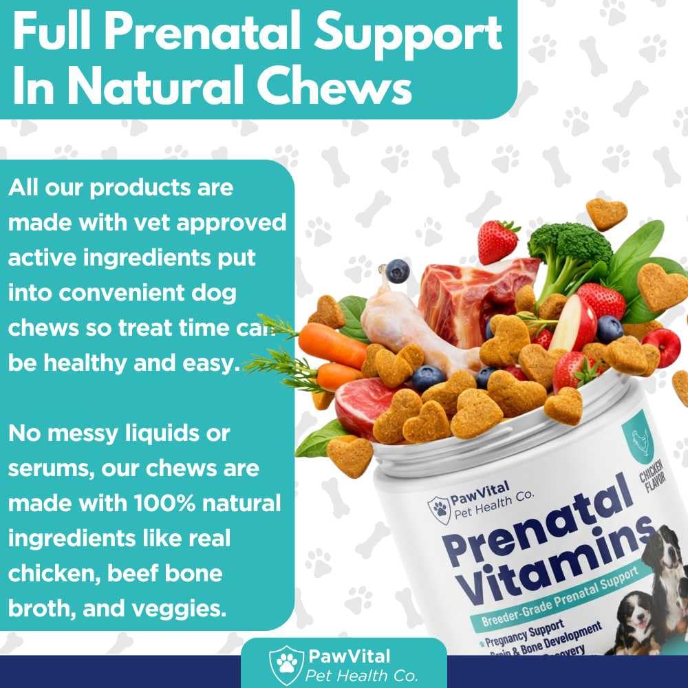 Dog Prenatal Vitamins for Pregnant & Nursing Dogs – 120 Soft Chews with Folic Acid, DHA, Choline, Iron & Calcium – Prenatal Multivitamin Supplement for Puppy Development, Pregnancy & Lactation Support — Amazon image 7