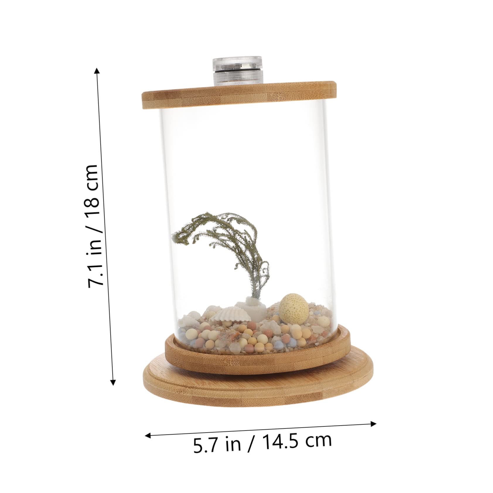 Dekoratives Aquarium 1 Satz Grün Glas für Haushalt