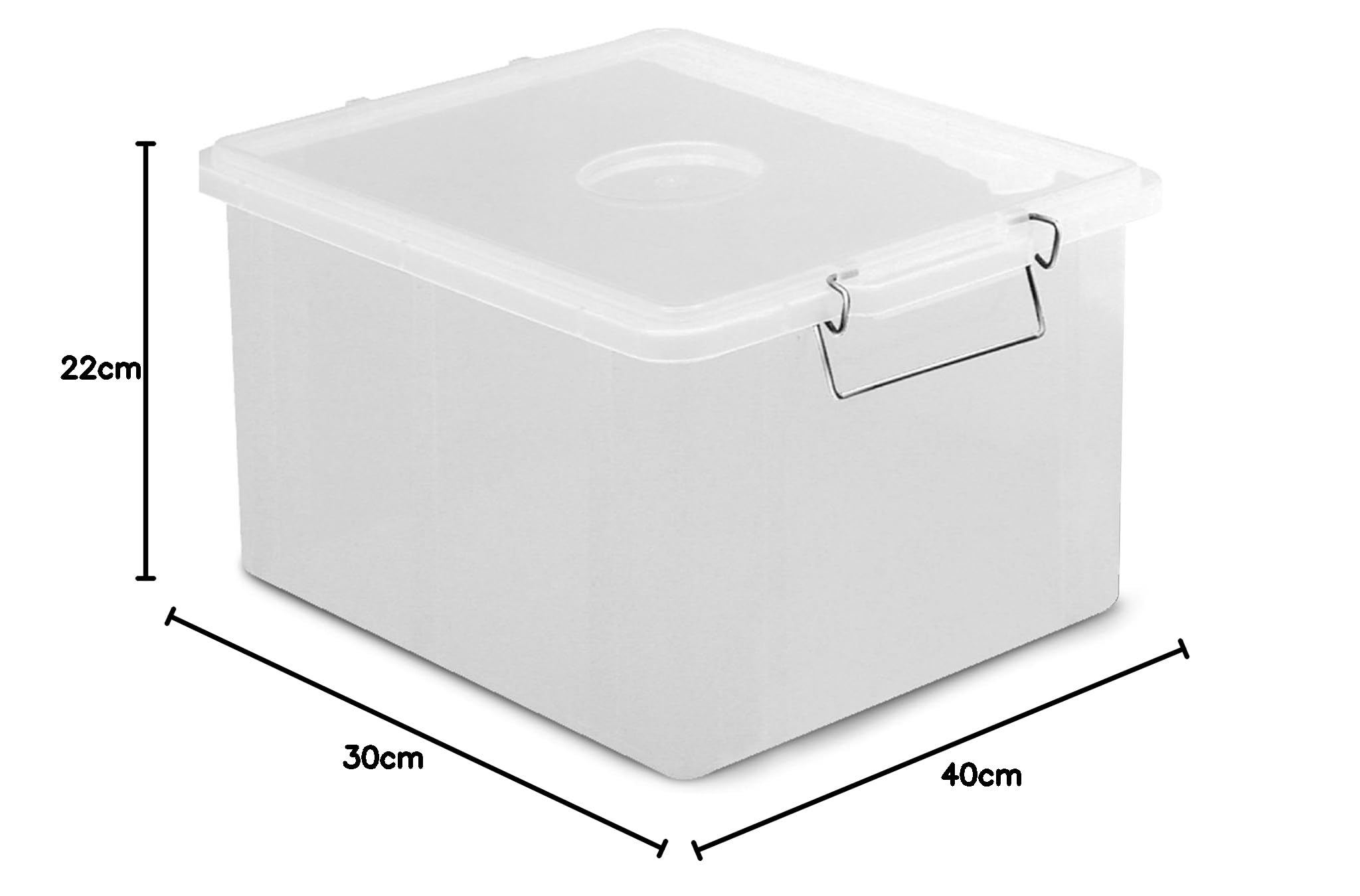 Giganplast 1900M Cassetta con Coperchio, Trasparente, 40x30x22 cm
