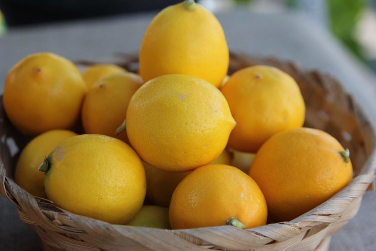 Meyer Lemons from California. Certified USDA Organic (5 Pound Box)