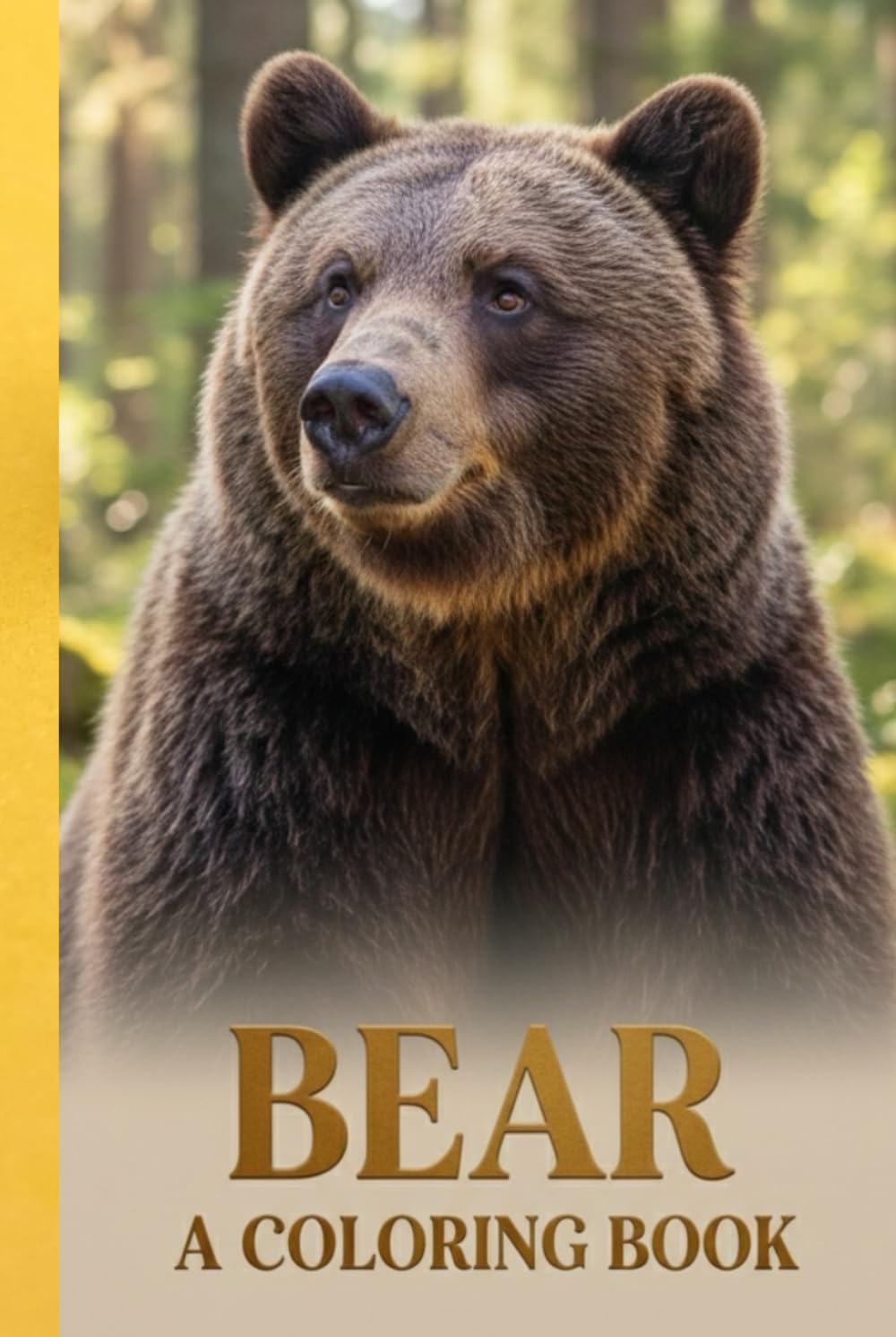 Bear Coloring Book for Kids & Teens Ages 5–18 Cute, Realistic & Fun Bear Illustrations | Relaxing Animal Coloring Pages for Children, Teens & Beginners