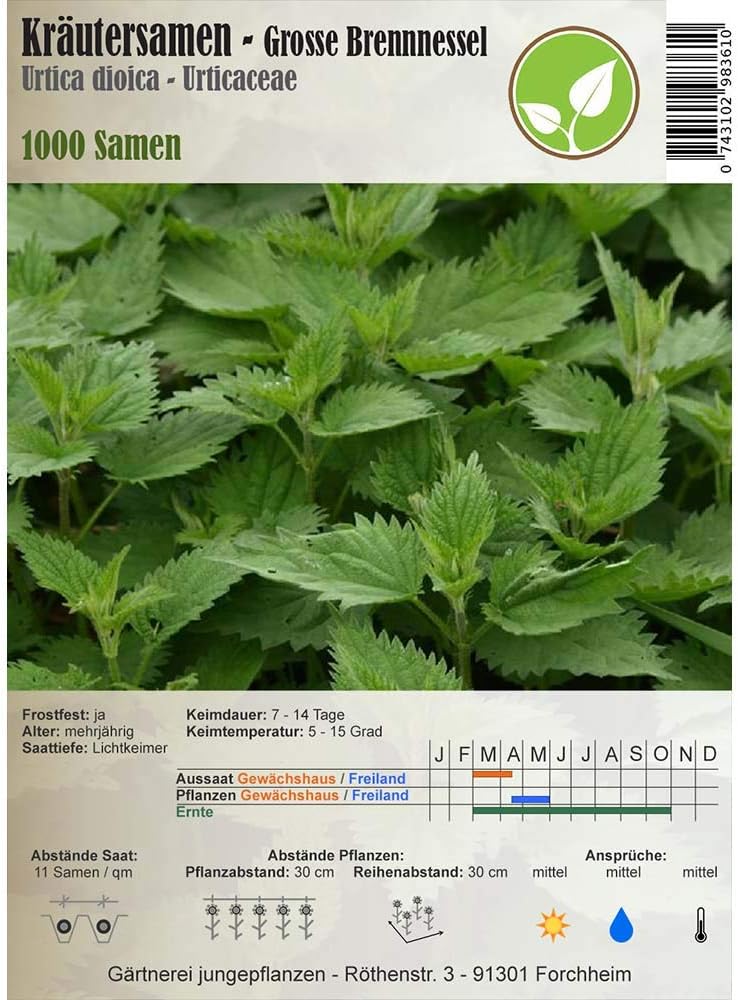 Herb Seeds - Great Nettle/Urtica dioica 1000 Seeds