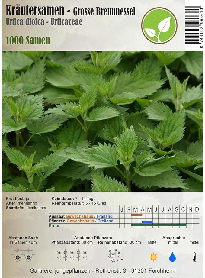 Semillas de Ortiga Grande (Urtica dioica) - 1000 semillas