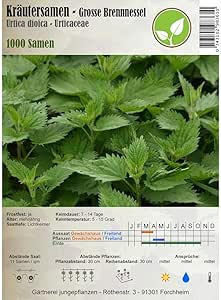 Semillas de Ortiga Grande (Urtica dioica) - 1000 semillas