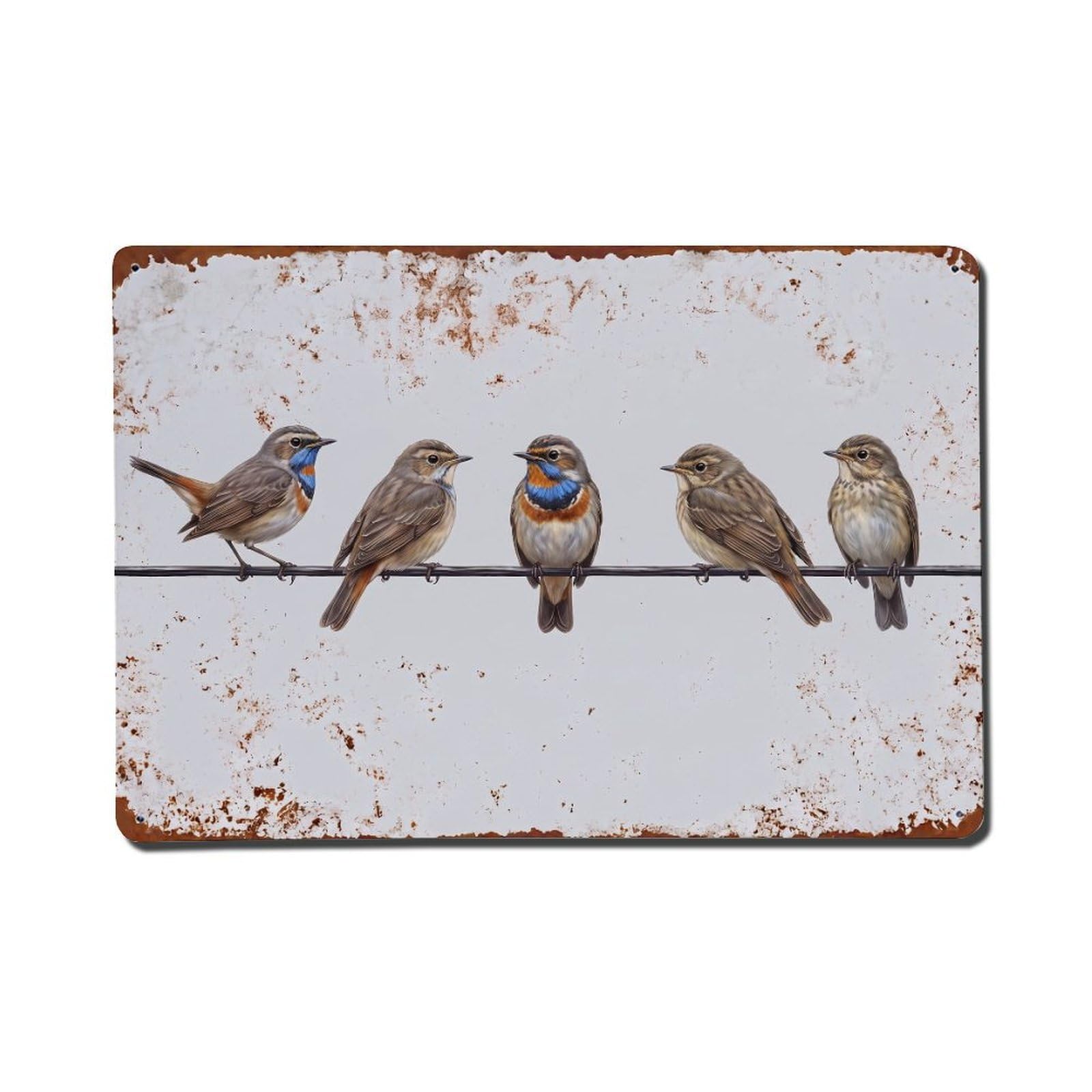 Vintage Retro Birds Bluethroat Metal Tin Sign