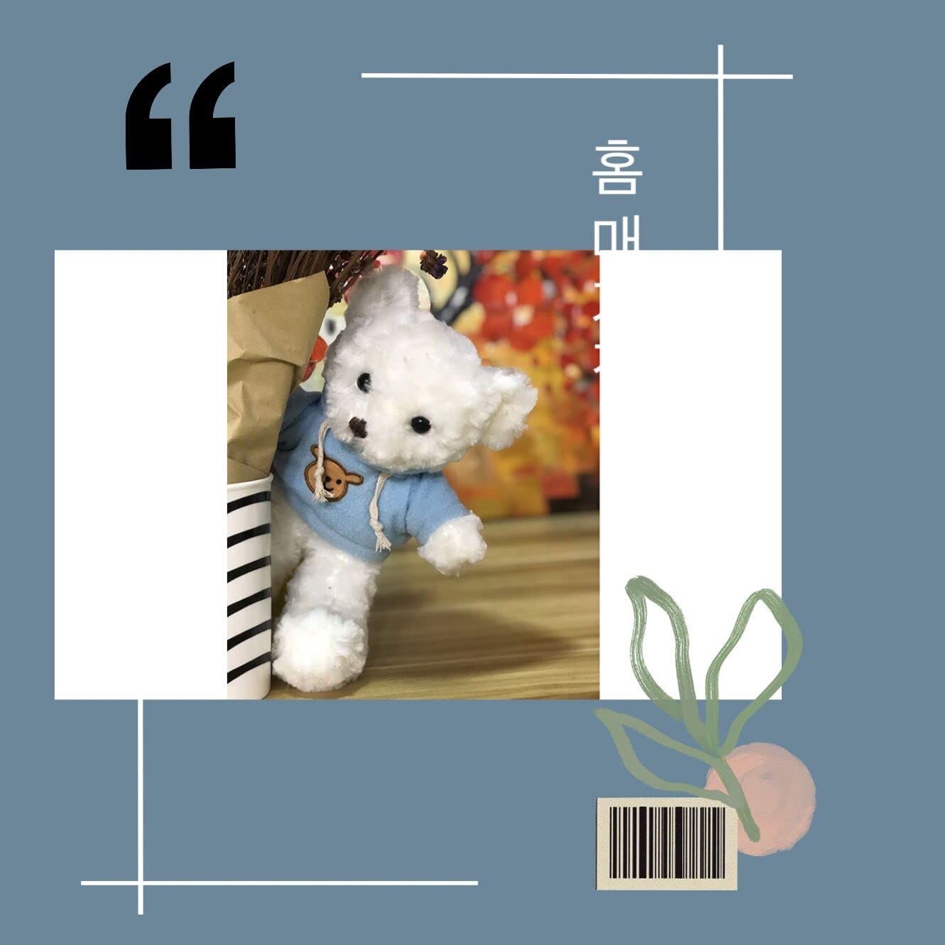 Amazon.co.jp: かわいい白い服を着たクマぬいぐるみテディベア