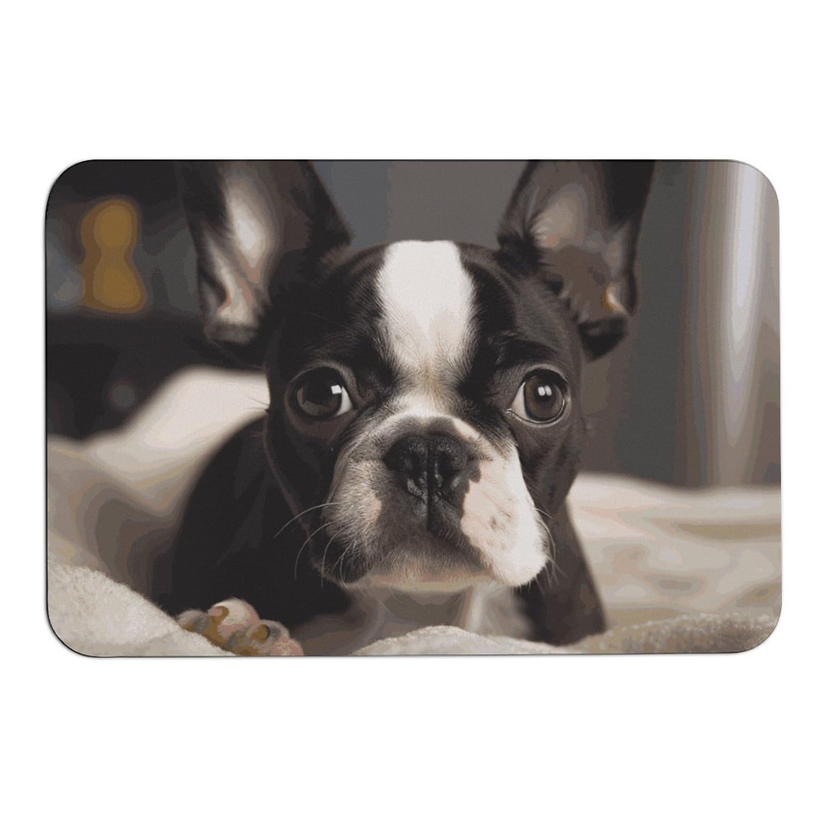 Tapis absorbant l'eau pour éviter les glissades et les sols mouillés