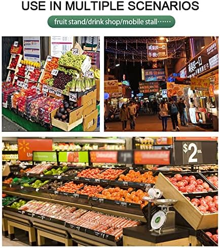 Extractor de Jugos Prensado Lento 350W con Bandeja, Eficiente 450Kg/H miniatura 7