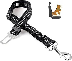 THE ONE Belts for Cars