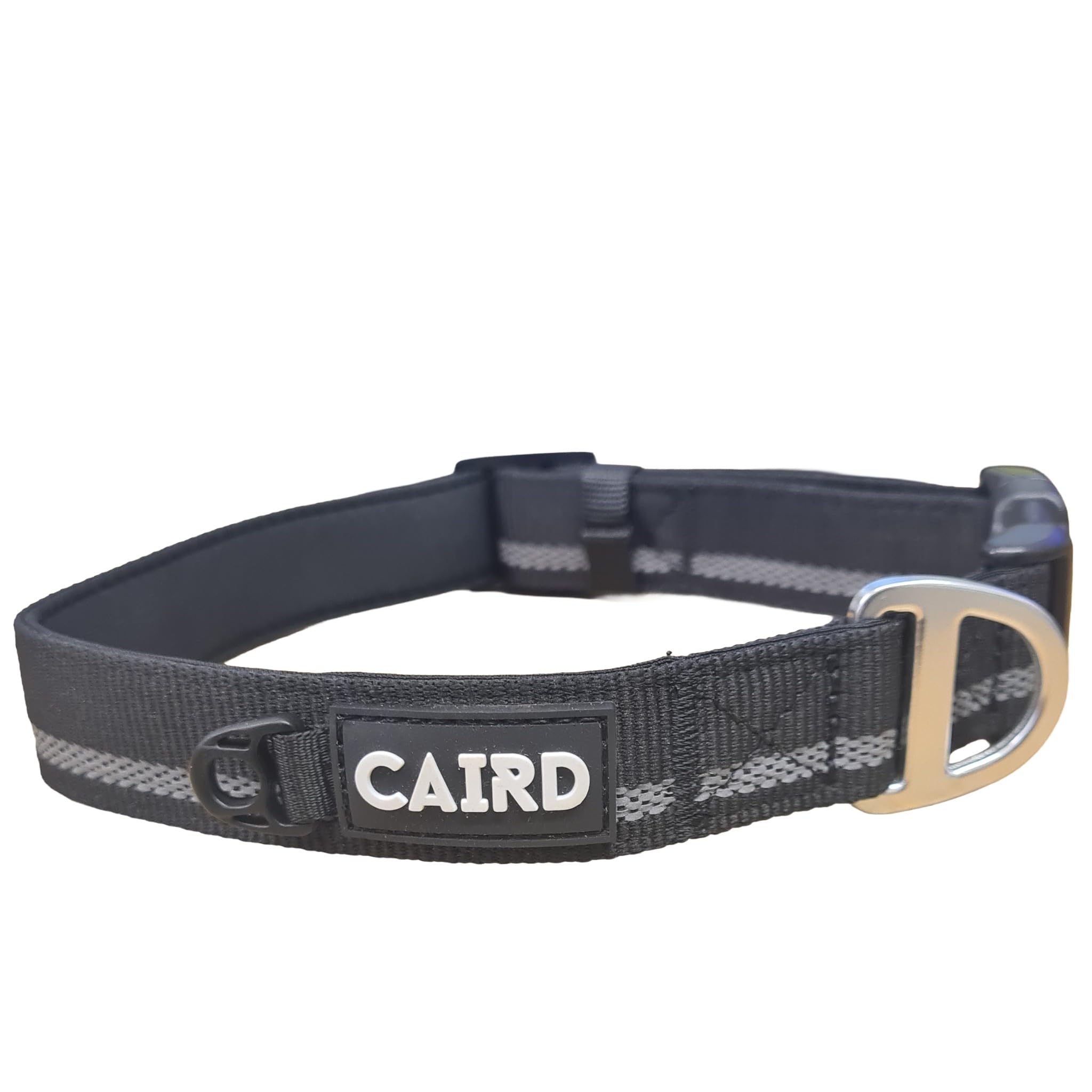Collier réfléchissant chien CAIRD Journey Light pour balades nocturnes sûres