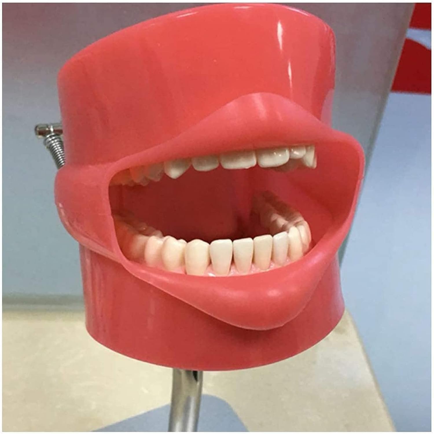 Model Nauczania, Szablon Zębów Symulator Dentystyczny, Stomatologia Stomatologiczna Tworzenie Zębów Treningowych Siedziba Główna Opieka Zdrowotna Jamy Ustnej Dentysta Higiena Pleśni