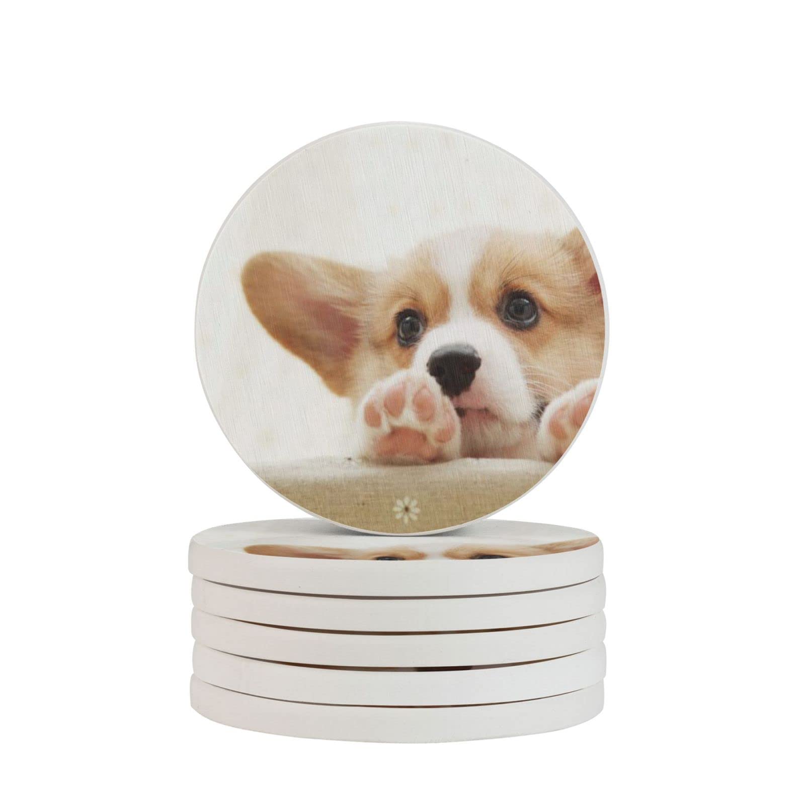 Dessous de verre diatomite Corgi ultra absorbant anti humidité