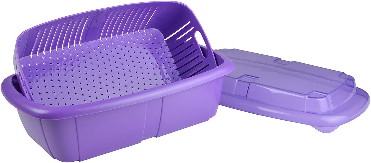 HutzlerSaver Set Fruit Keeper, 2 quarts, Purple