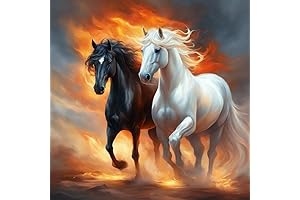mrpwnle Horse Diamond Art Painting Kits for Adults
