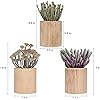 Product Photo 7