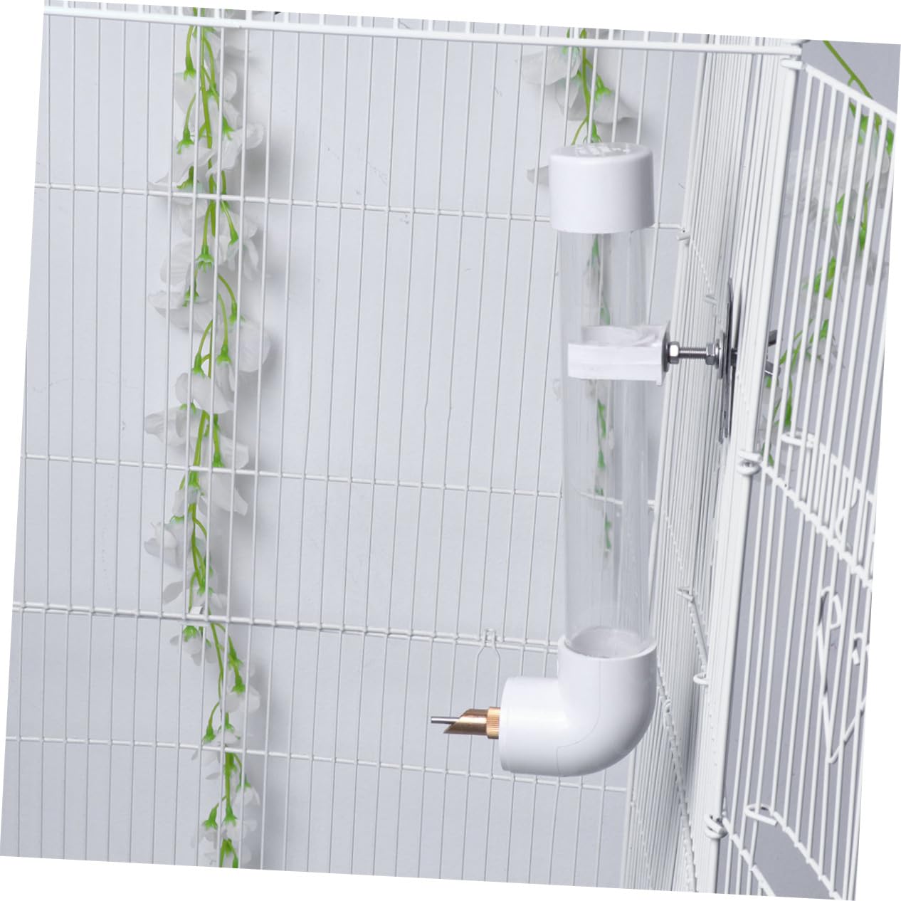 COLLBATH Automatische Vogeltränke für Mittelgroße bis Große Papageien Große Kapazität Kunststoff Wandhängend Tropffrei für Käfige und Wände