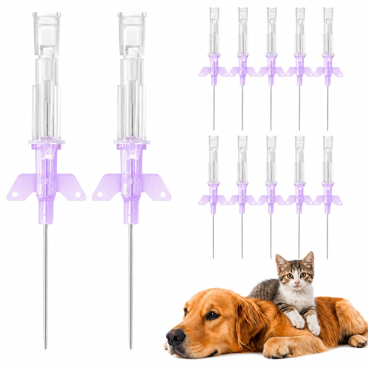 50-Pack Vet IV Catheters 20/22/24/26G Pet I-V Infusion Tubes for Dogs, Cats, Small Animals (20G)