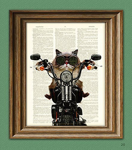 Roxie Rawr Motorcycle Cat illustration beautifully upcycled dictionary page book art print