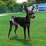 NAMSAN Hunde Windeln 3 Stück Waschbare Schutzhose für Hündinnen Einstellbare Hunde Höschen für Urin Inkontinenz/Untrainierte Welpen/Läufigkeit Hündin - XL