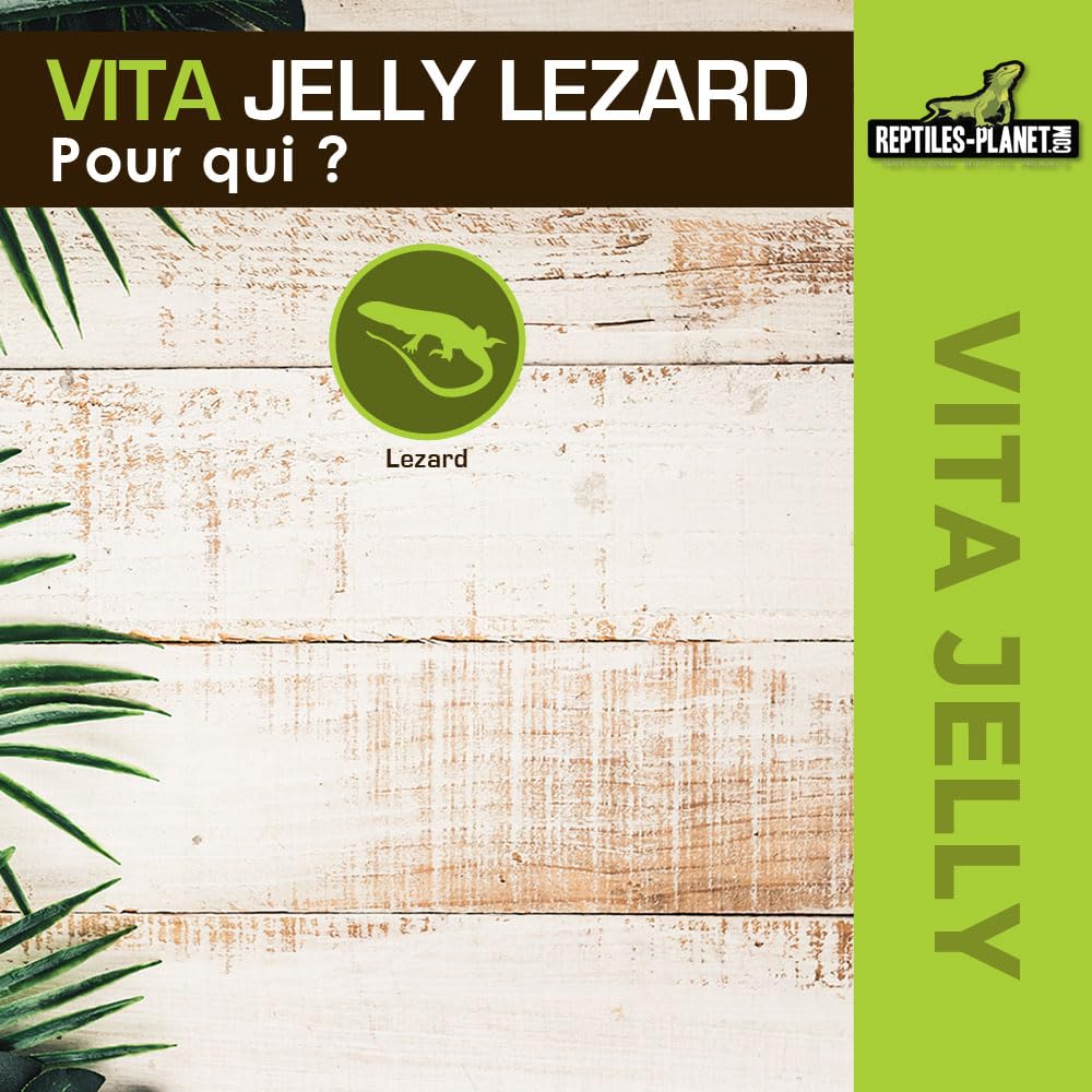 Reptiles Planet - Vita Jelly Banane pour Lézard - 10 pcs