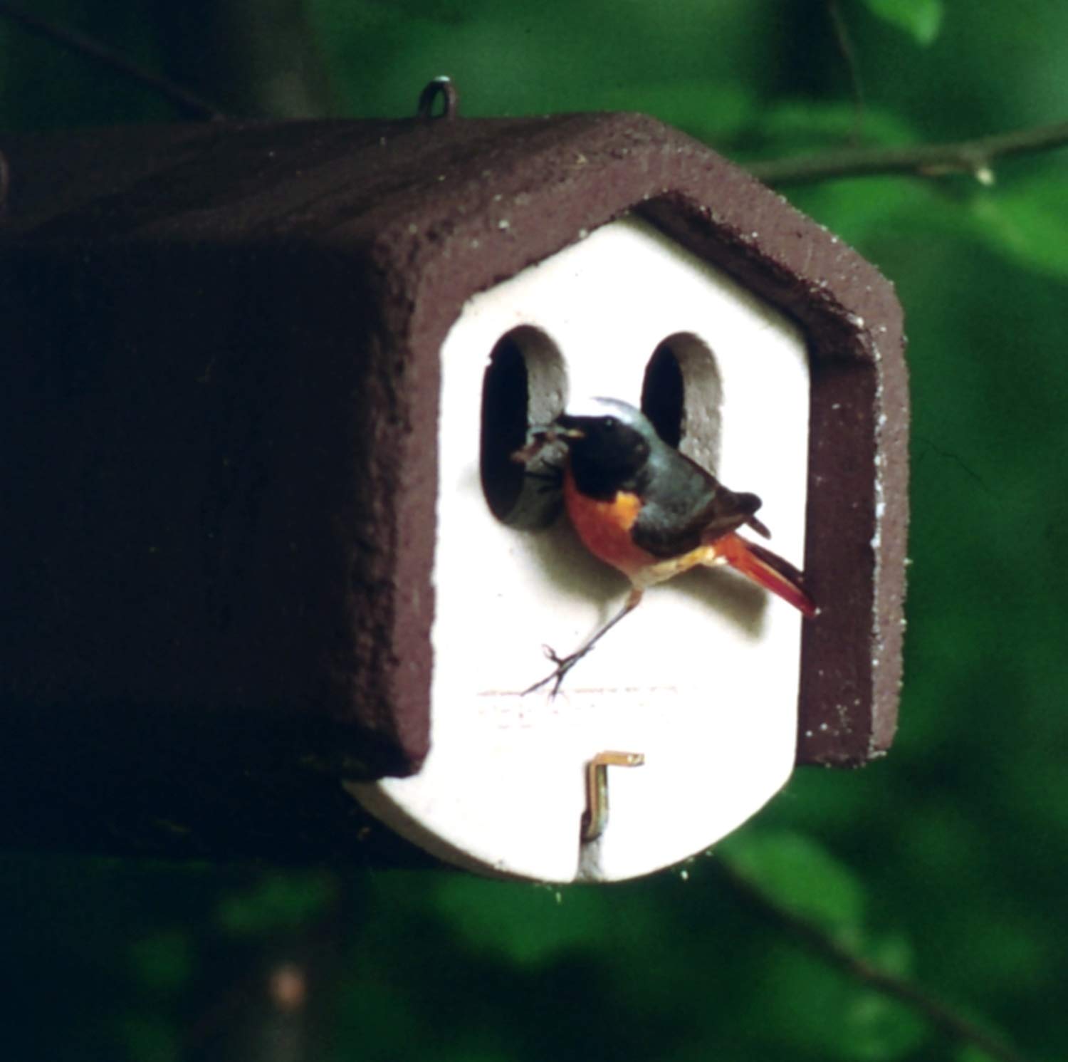 Naturschutzprodukt Set II Garten räubersicher 3 Nisthöhlen Nistkasten Vogelhaus für Gartenvögel Vögel