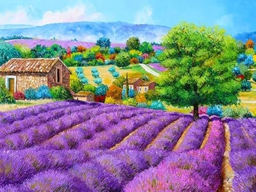 Pintura de mampostería 5D lavanda DIY 5D Kit de pintura de diamantes para decoración de pared, decoración del hogar (40x30cm) pintura digital para niños Cover
