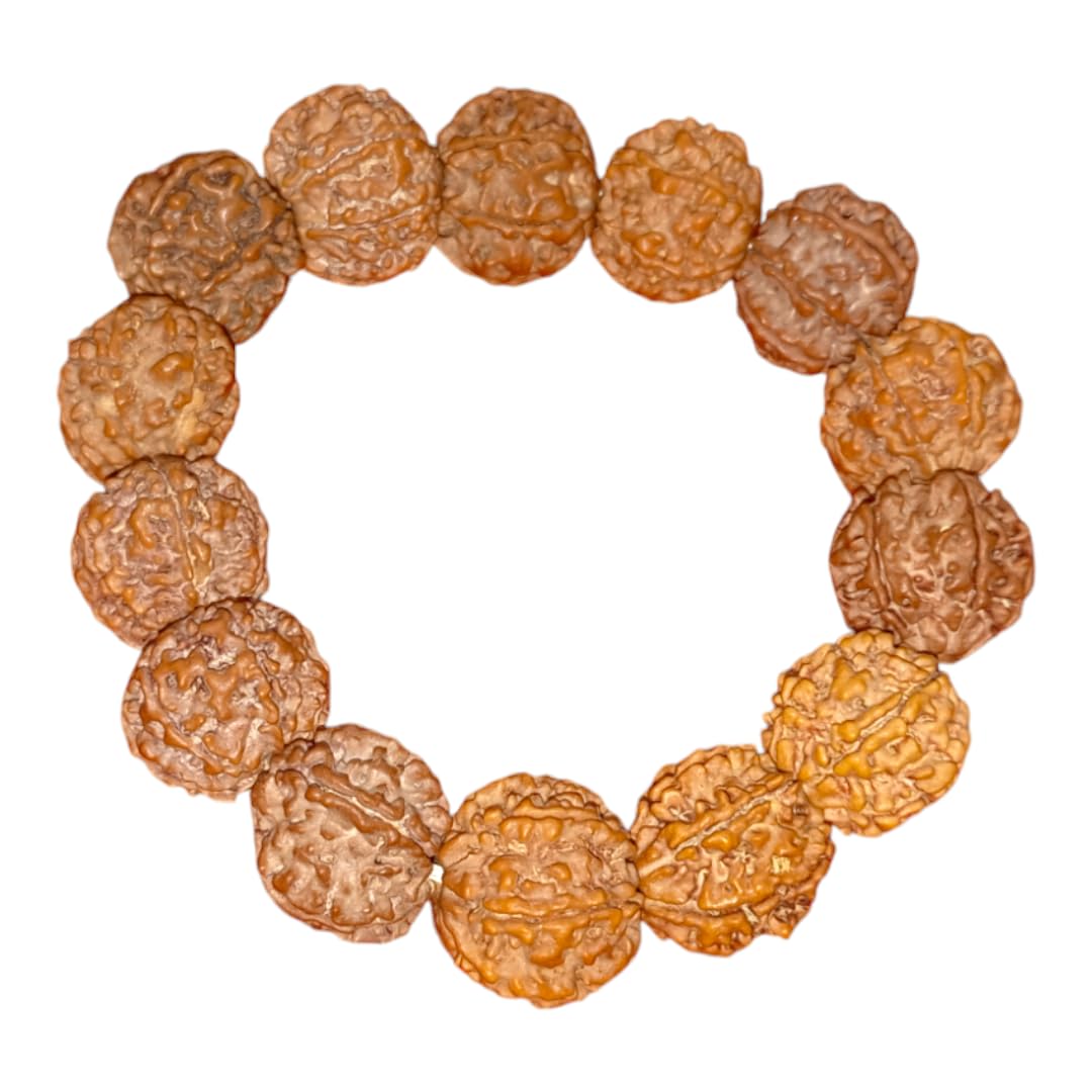 7 Mukhi Nepali Rudraksha Bracelet Original Certified | Seven Faces Rudraksha Bracelet | For Men and Women | by Shree Rudraksham | Bracelet | (B0BM6LK335) Amazon Price History, Amazon Price Tracker