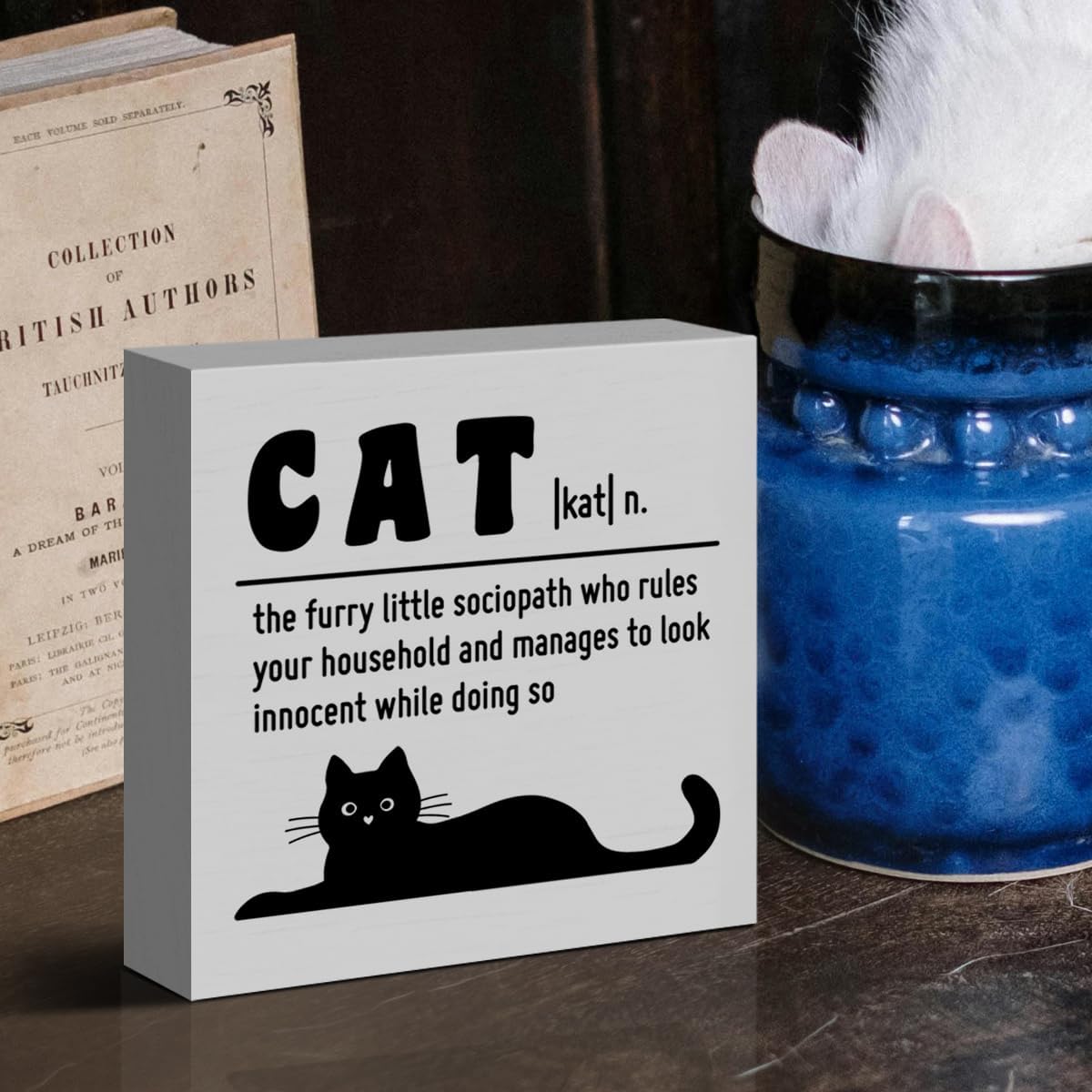 Funny Cat Desk Decor Sign, Cat Lover Decor for Bedroom Cat Room Home Office Kitty Themed Tabletop Decoration Wooden Sign Gifts for Women Men Cat Lover Owner Dad Mom, The Furry Little Sociopath - Image 5