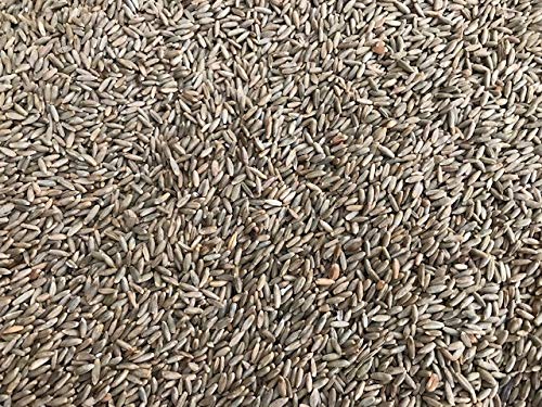 Heinrichs Agrar 25 kg Roggen Brotroggen Futterroggen Fischfutter Regional Rheinhessen aus der Layenmühle Cover