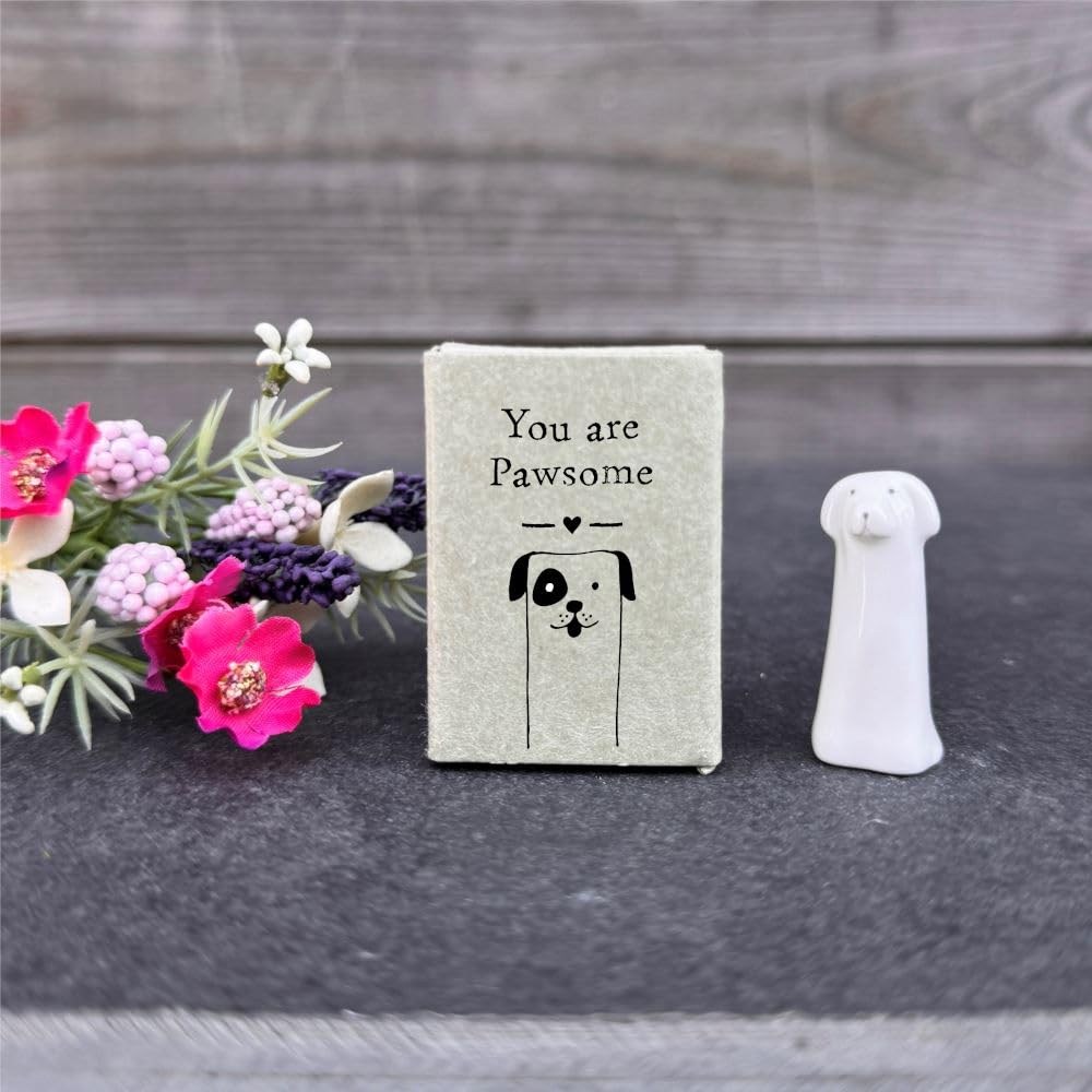 Luck and Luck Personalised Small Porcelain Matchbox Dog, Friendship Boxed Gift, You are Pawsome, Pocket Hug, Keepsake Mini Ornament, Porcelain Token Gift