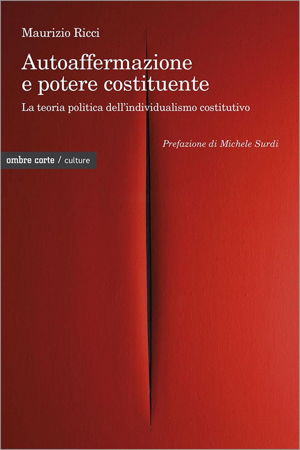 Autoaffermazione E Potere Costituente. La Teoria Politica Dell’Individualismo Costitutivo - 4